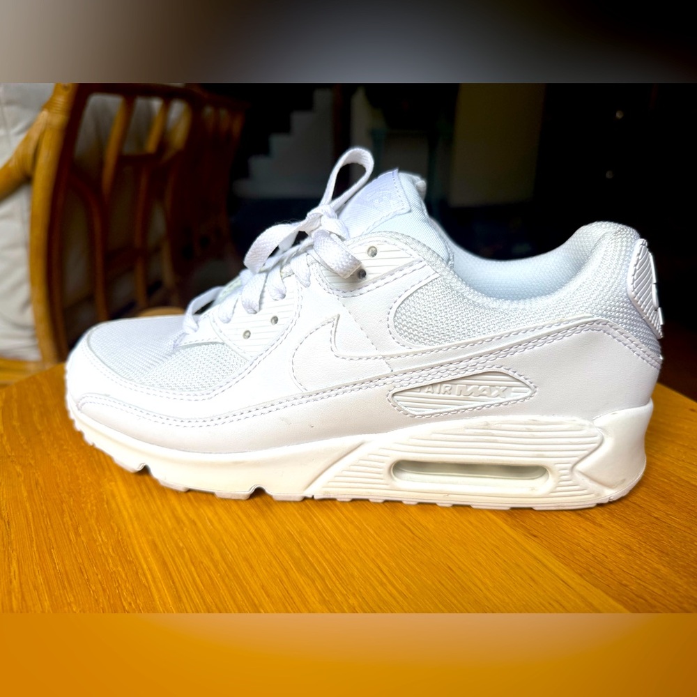 Nike Air Max 90 Sneakers